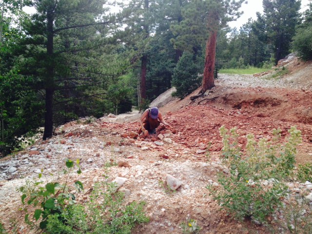 Heidi, collecting archive samples in Colorado, USA.